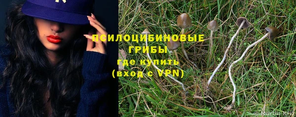 спайс Алзамай