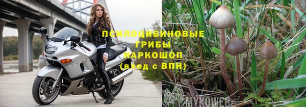 сатива Алексеевка