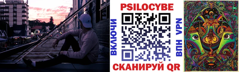 blacksprut онион Балашов Псилоцибиновые грибы Magic Shrooms